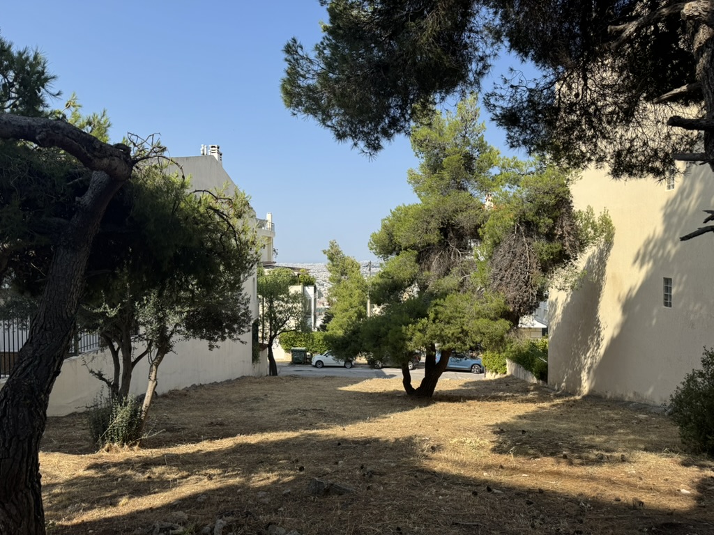 Θέα οικοπέδου με πεύκα και ορίζοντας Αθήνας