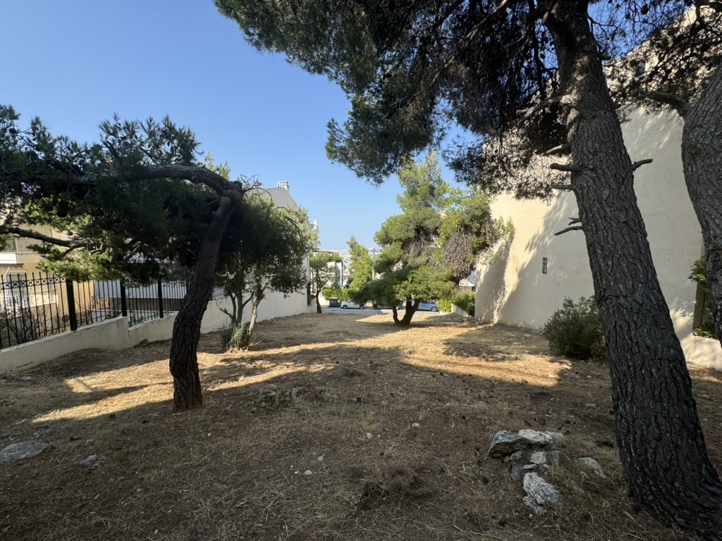 Καταπράσινο οικόπεδο με πεύκα